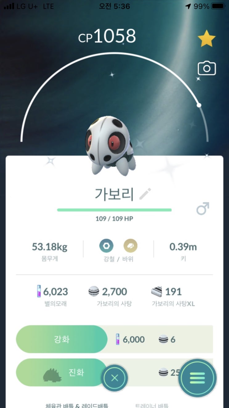  가보리, 갱도라, 보스로라 이로치