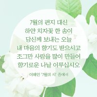 7월의 시   - 이해인