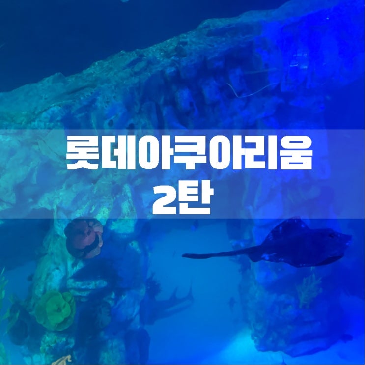  코엑스 / 롯데월드 아쿠아리움 철저비교! ㅇㅣ제 마음에 드는 아쿠아리움으로 골라서 다녀오세요 ㅎ (아쿠아리움 비교 2탄)
