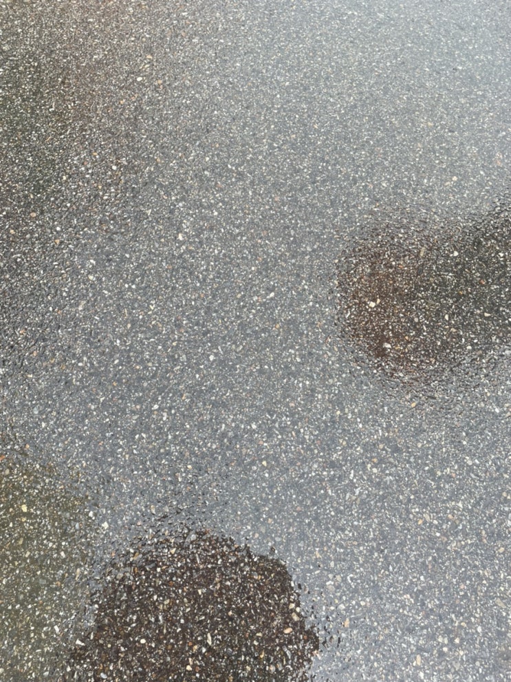  오늘일기