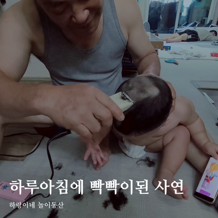  싱글맘 육아 인플루언서 20개월 아기 셀프미용 실패