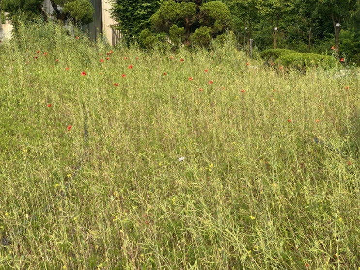  법정스님 / 우리가 사람답게 산다는 것은
