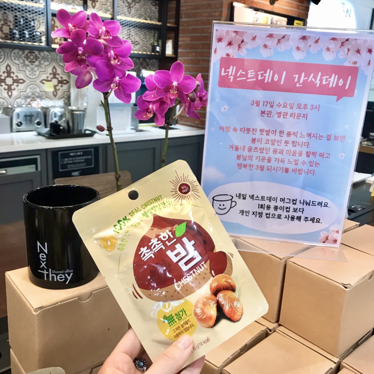  넥스트데이 간식데이