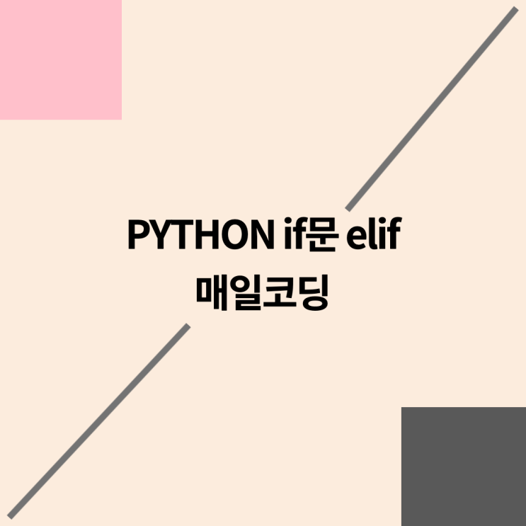  파이썬 if 문 elif 33강