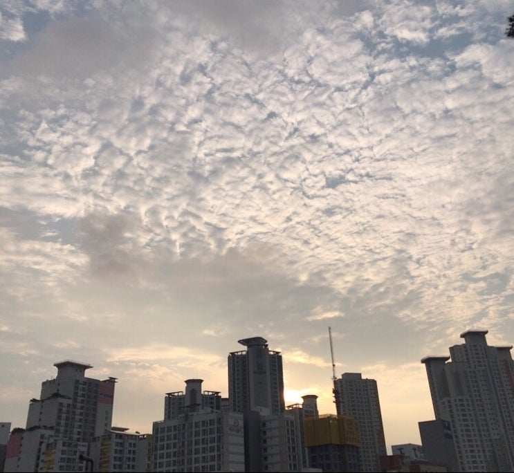  다시, 알찬하루 만들기 ~ (38일차)