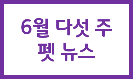 6/5주차 반려동물 소식 :  양주시·국경없는 수의사회, 마당개 중성화 프로젝트 개최