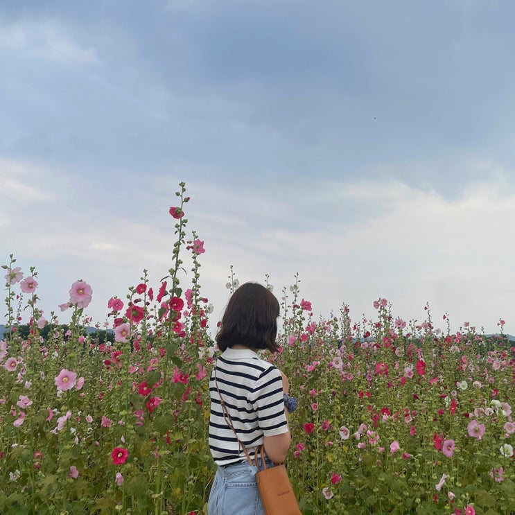  경주 여행 칙칙폭폭