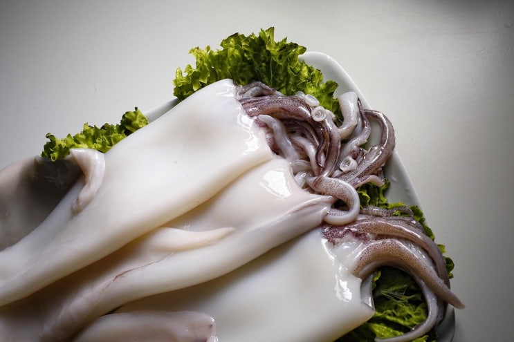  7월 제철 해산물 생선, 여름철 회 횟감 종류 기력회복 음식