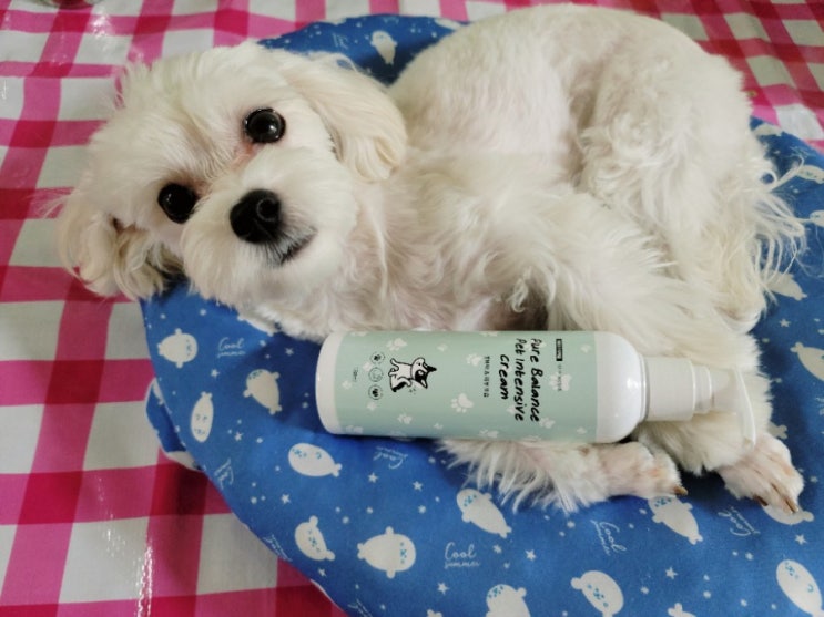 강아지 발바닥 퓨어프렌즈 보습제로 갈라짐 예방 