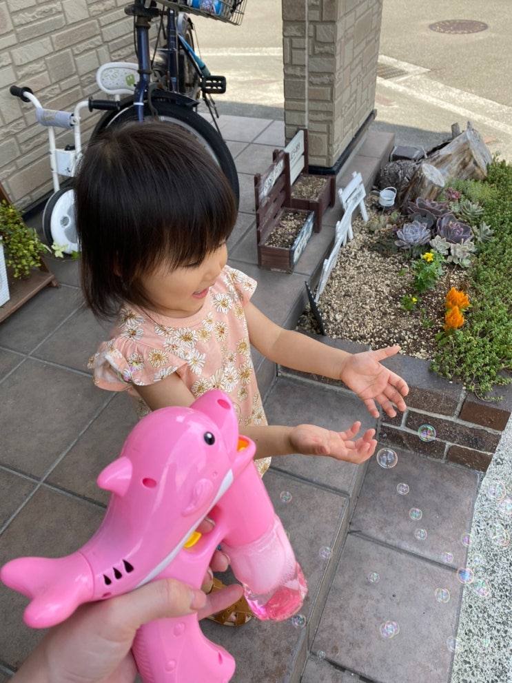  코로나 한국 일본 이산가족