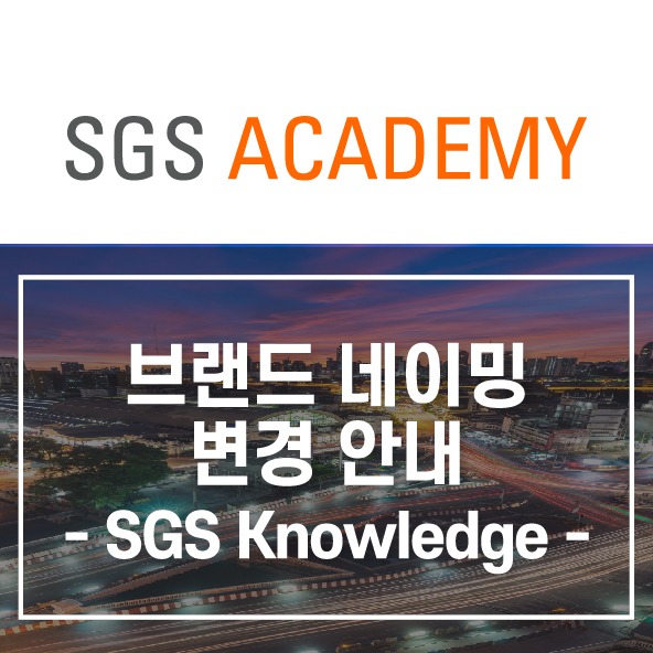  브랜드 네이밍 변경 안내: SGS Knowledge(지식솔루션 사업부)로의 시작