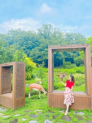 부천 실내 가볼만한곳 놀거리 무릉도원수목원 식물원 ️ 부천 실내 가볼만한곳 놀거리 무릉도원수목원 식물원 ️