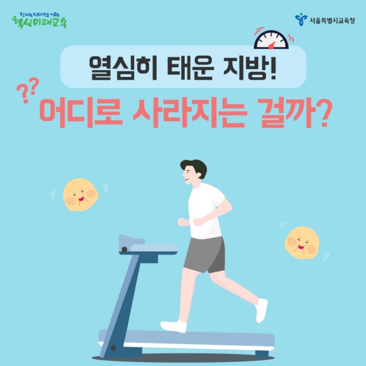  [생활정보쏙쏙]열심히 태운 지방! 어디로 사라지는 걸까?