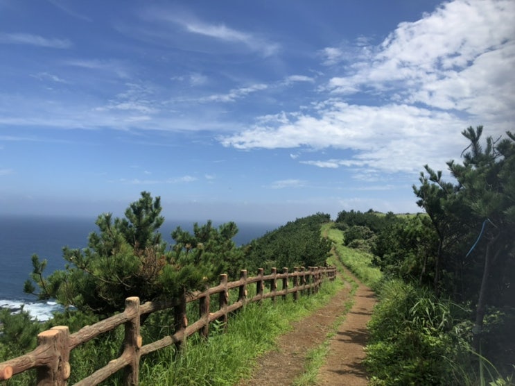 제주도의 특별한 섬 우도 여행 (1)