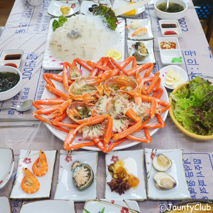  [속초 장사항 백두산횟집] 속초애견동반 가능한 장사항맛집