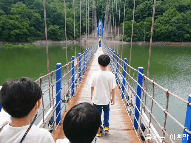 청양 아이와 가볼만한 곳 : 천장호 출렁다리, 청양 가볼만한곳 [청양여행]