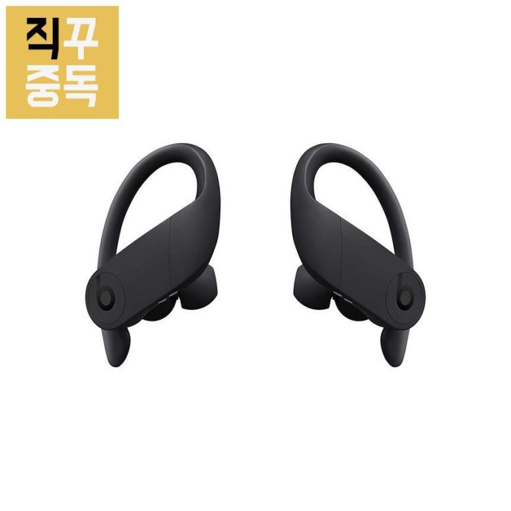 갓성비 좋은 파워비츠 프로 무선 이어폰 Powerbeats Pro 블랙, 단품 좋아요