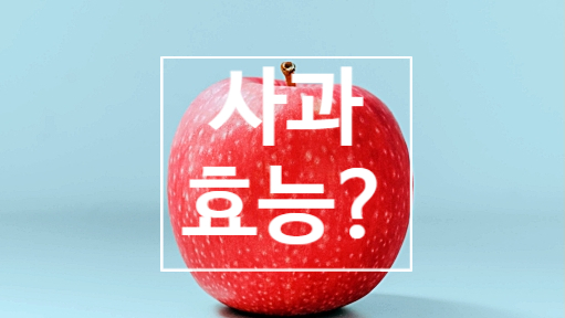  사과효능 몸에 좋은 영양소가 풍부해요!