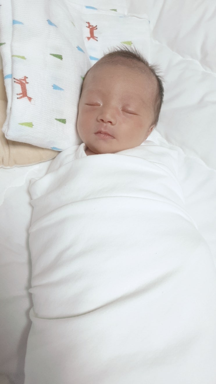  천기저귀활용법