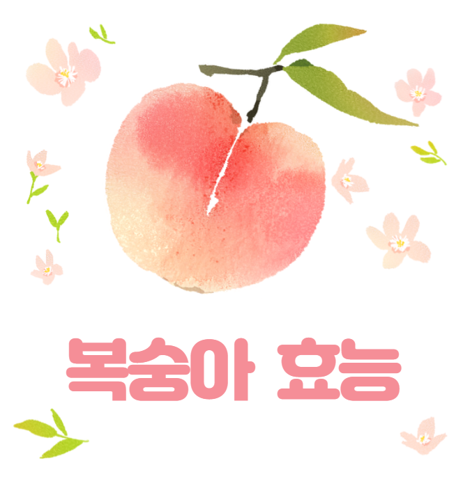  7월 제철과일 복숭아 효능 너무 좋아요 ~
