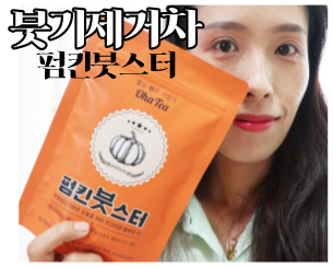 호박차 붓기제거차 오하티 펌킨붓스터 여름에 마시니 더 좋아