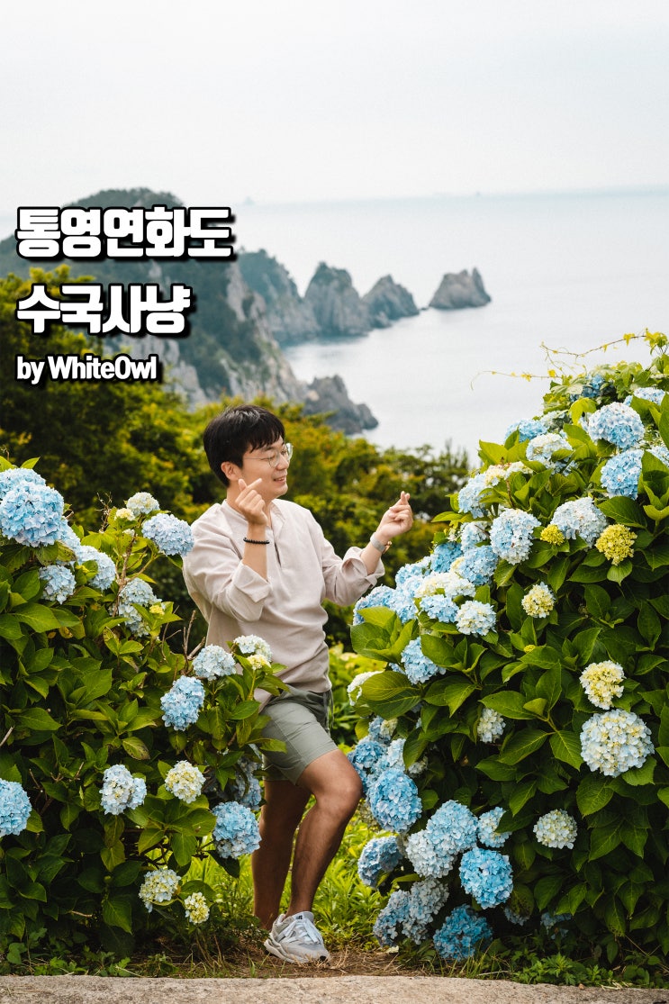  통영 연화도 수국 보러 다시 찾아가고 싶은 섬, 배 시간정보까지