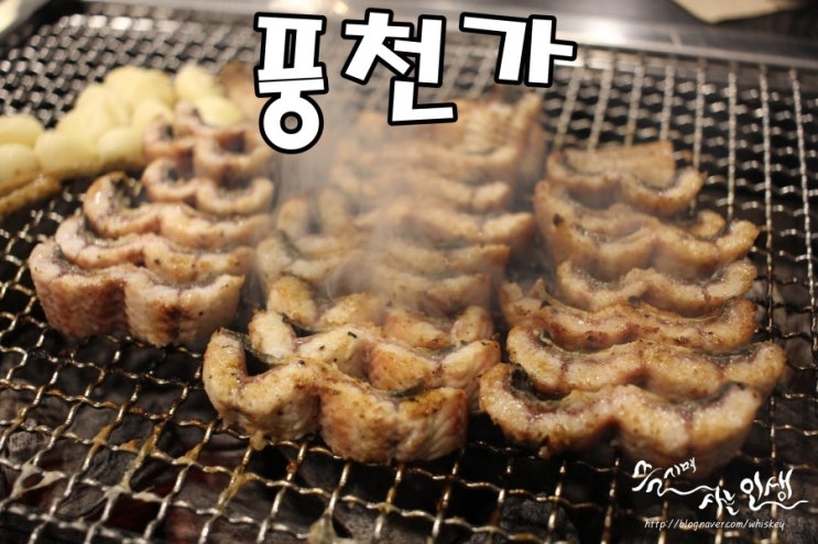  [강남구청역 맛집] 청담장어맛집 풍천가