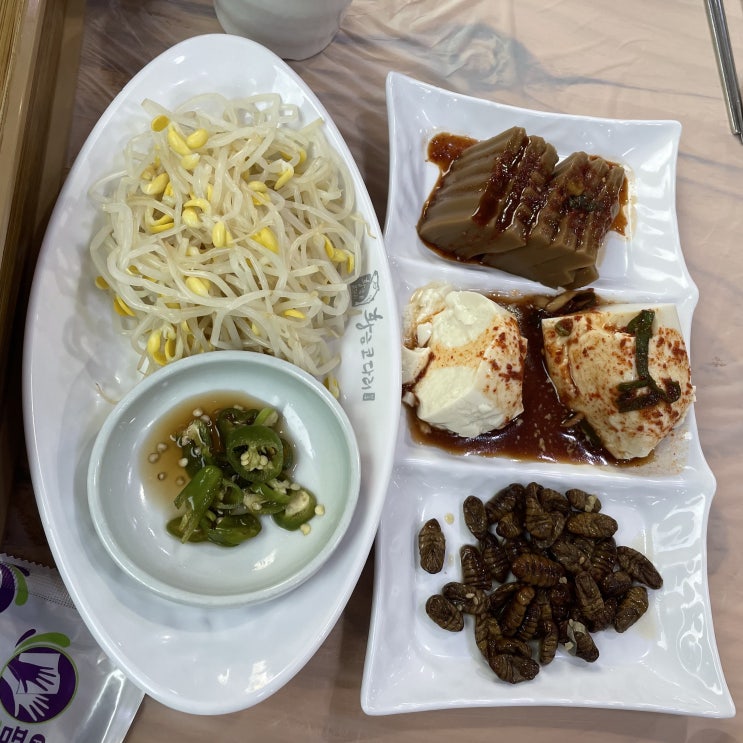 [용인 수지 동천동] 막걸리 무제한, 코다리 맛집 "황금코다리"