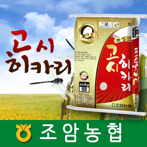 선호도 높은 2020년햅쌀/고시히카리/쌀20Kg/쌀10Kg/현미10Kg/조암농협쌀/경기도지사인증쌀/햅쌀/경기미, 1개, 20Kg 추천합니다 선호도 높은 2020년햅쌀/고시히카리/쌀20Kg/쌀10Kg/현미10Kg/조암농협쌀/경기도지사인증쌀/햅쌀/경기미, 1개, 20Kg 추천합니다