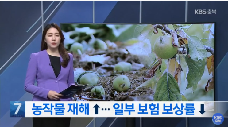 농작물 재해 느는데, 일부 보험 보상률 떨어져 [KBS NEWS]