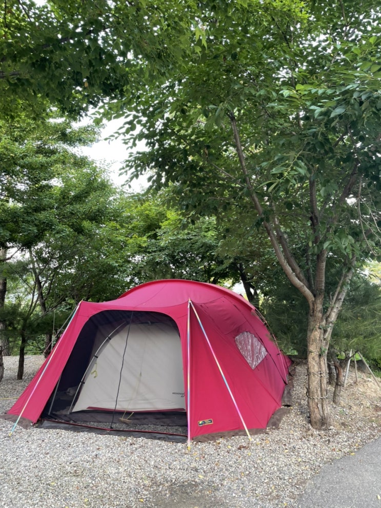  장박에서도 균형을 위한 휴식!