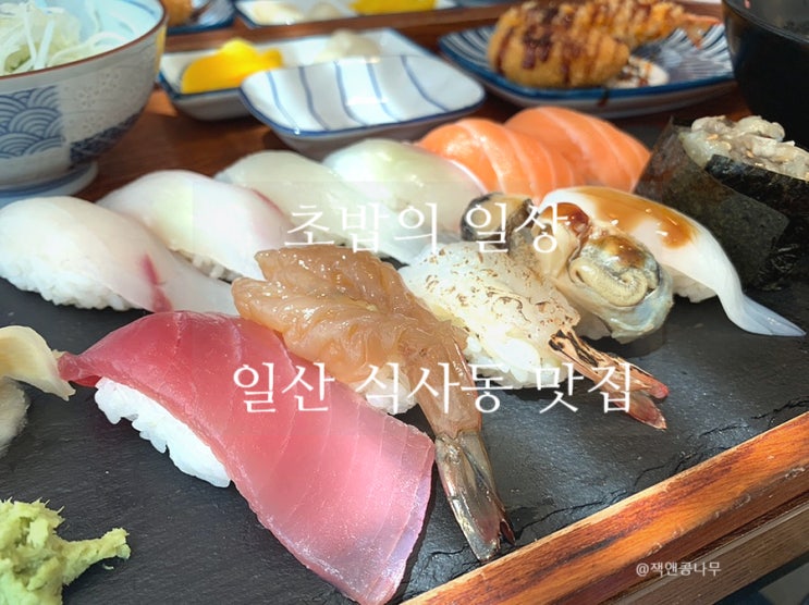 초밥의 일상 일산 맛집 식사동 초밥 맛집 살이있네 초밥의 일상 일산 맛집 식사동 초밥 맛집 살이있네