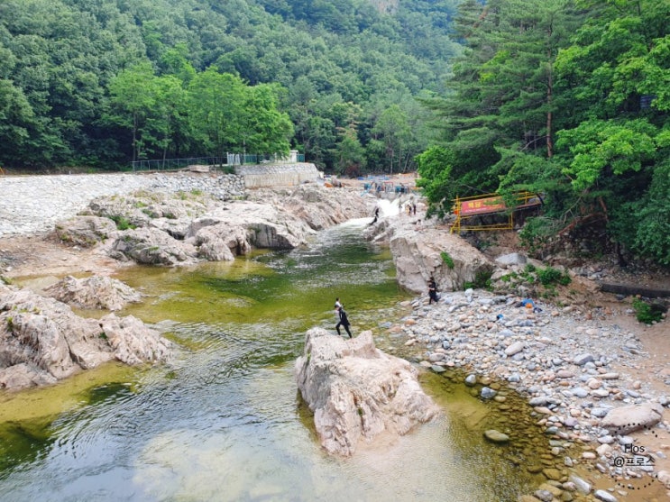  물맑은 수심깊은 인제 백담계곡 공사중인 현재 상황(21.06.27)  강원도 스노쿨링 하기좋은 물놀이 계곡. 여름 휴가지로 추천 !!