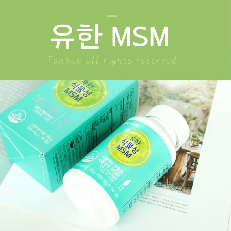유한양행 식물성 MSM, 관절에 도움을 주는 식이유황 후기