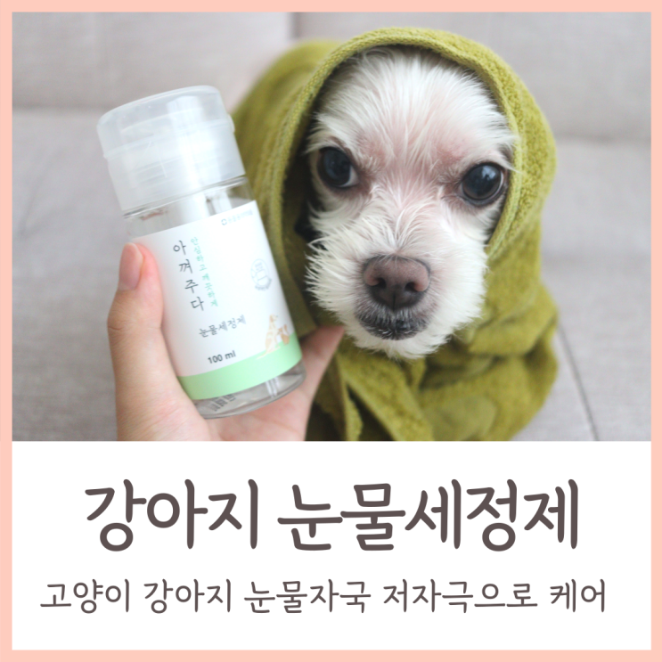  강아지 눈물자국 말끔하게 지워주는 아껴주다 저자극 강아지 눈물세정제