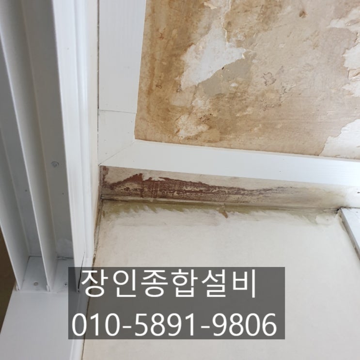  전주 아파트 누수 문제로 아랫집 피해 설비 업체 해결