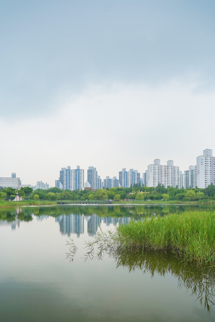 부천 상동 호수공원 주차장, 놀이터, 텐트, 식물원, 자전거