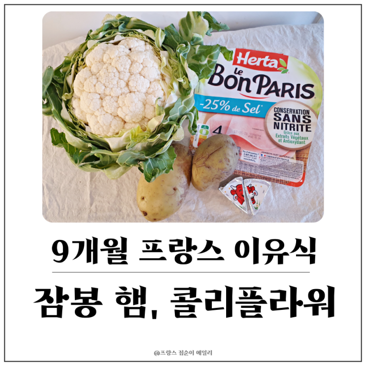  [9개월 아기 프랑스 이유식] 잠봉 햄(저염), 콜리플라워, 감자, 래핑카우 치즈 퓨레 만들기