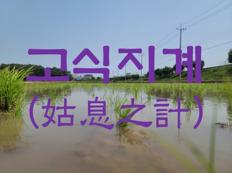  고식지계, 멀리 보고 살아가자