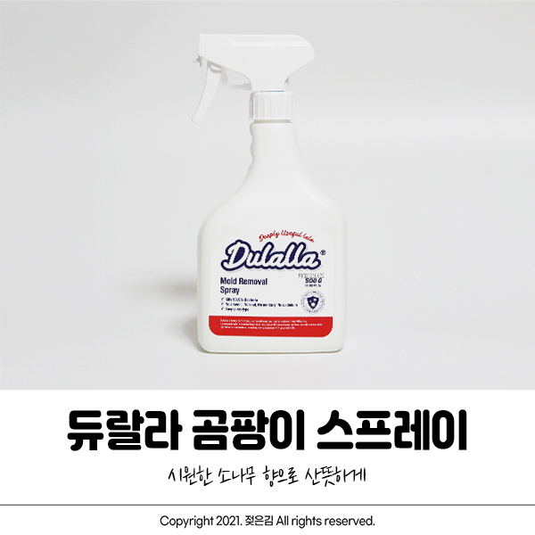 듀랄라 곰팡이 제거스프레이 욕실 청소에 딱! 듀랄라 곰팡이 제거스프레이 욕실 청소에 딱!