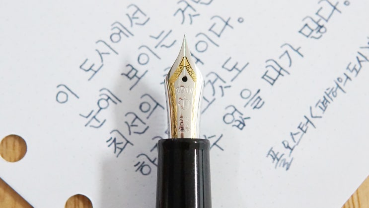  SNS 사용법 (만년필 필사, 세일러 프로기어 21k)