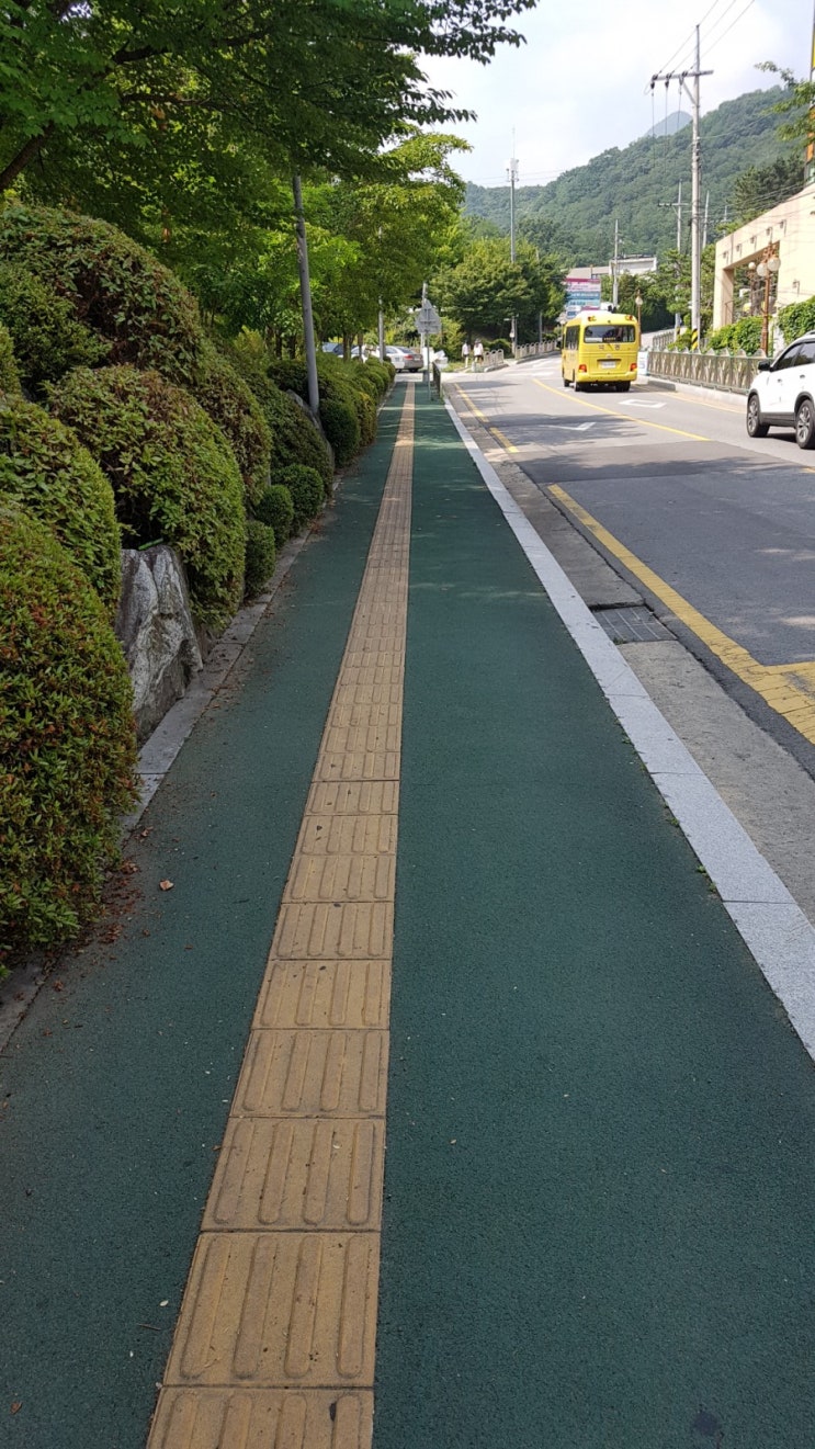  오랜만의 산책
