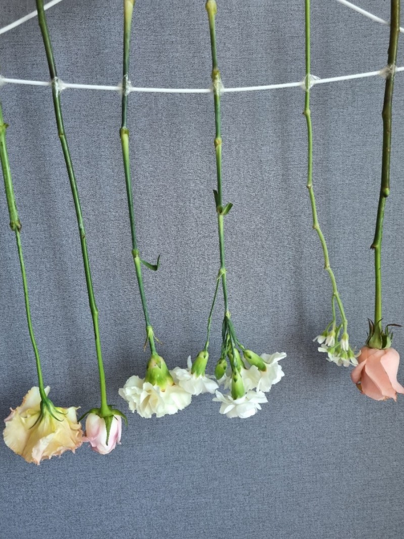 꽃 말리기 드라이플라워 만드는법 네이버 블로그