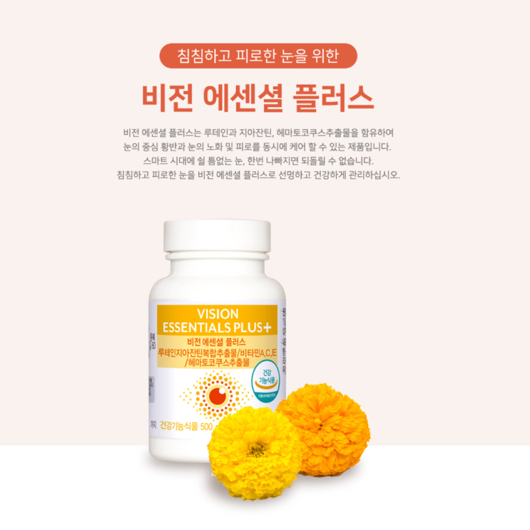  비전 에센셜 플러스 - 눈 건강 제대로 챙기자!!!