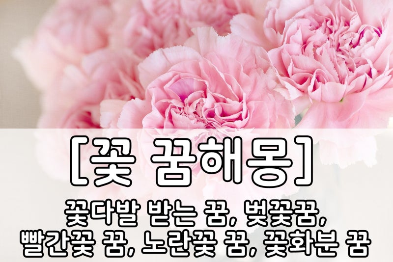 꽃다발을 받는 꿈/꽃다발 꿈 사례에 따른 일괄 총정리