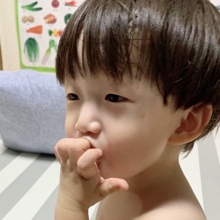  두돌아기 영양제/두돌아기 유산균/내돈내산/닥터 키즈트리오/닥터 신바이오틱스 키즈