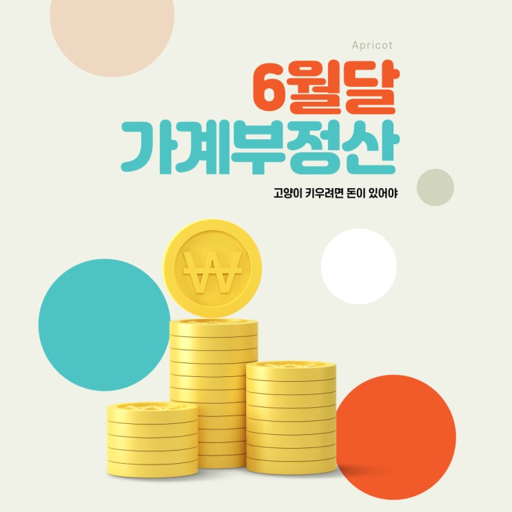  6월달 가계부 정산, 상반기 결산
