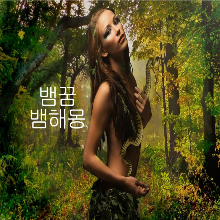  뱀꿈 해몽 -태몽 뱀꿈 뱀잡는꿈 큰뱀꿈 검은뱀꿈 뱀 흉몽