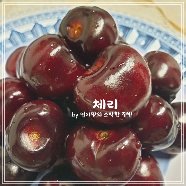  체리 알고먹자 효능 칼로리 보관법 씻는법 많이 먹으면