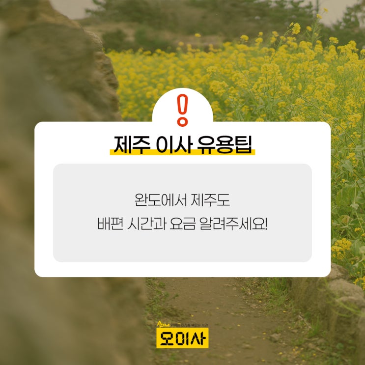  완도에서 제주도 배편 시간, 요금 모두 알려드림